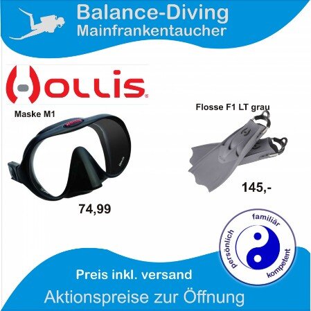 Hollis Aktion Hollis Aktion