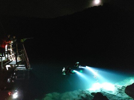 Nightdive Bild 1