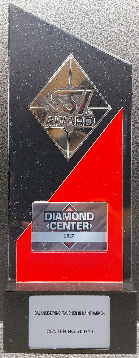 SSI Diamond-Center Award 2022
