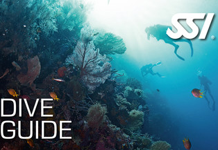 SSI Dive Guide