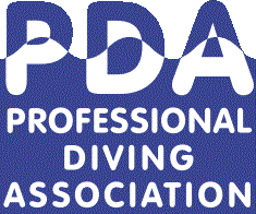 PDA Logo