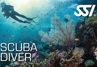 SSI Scuba Diver